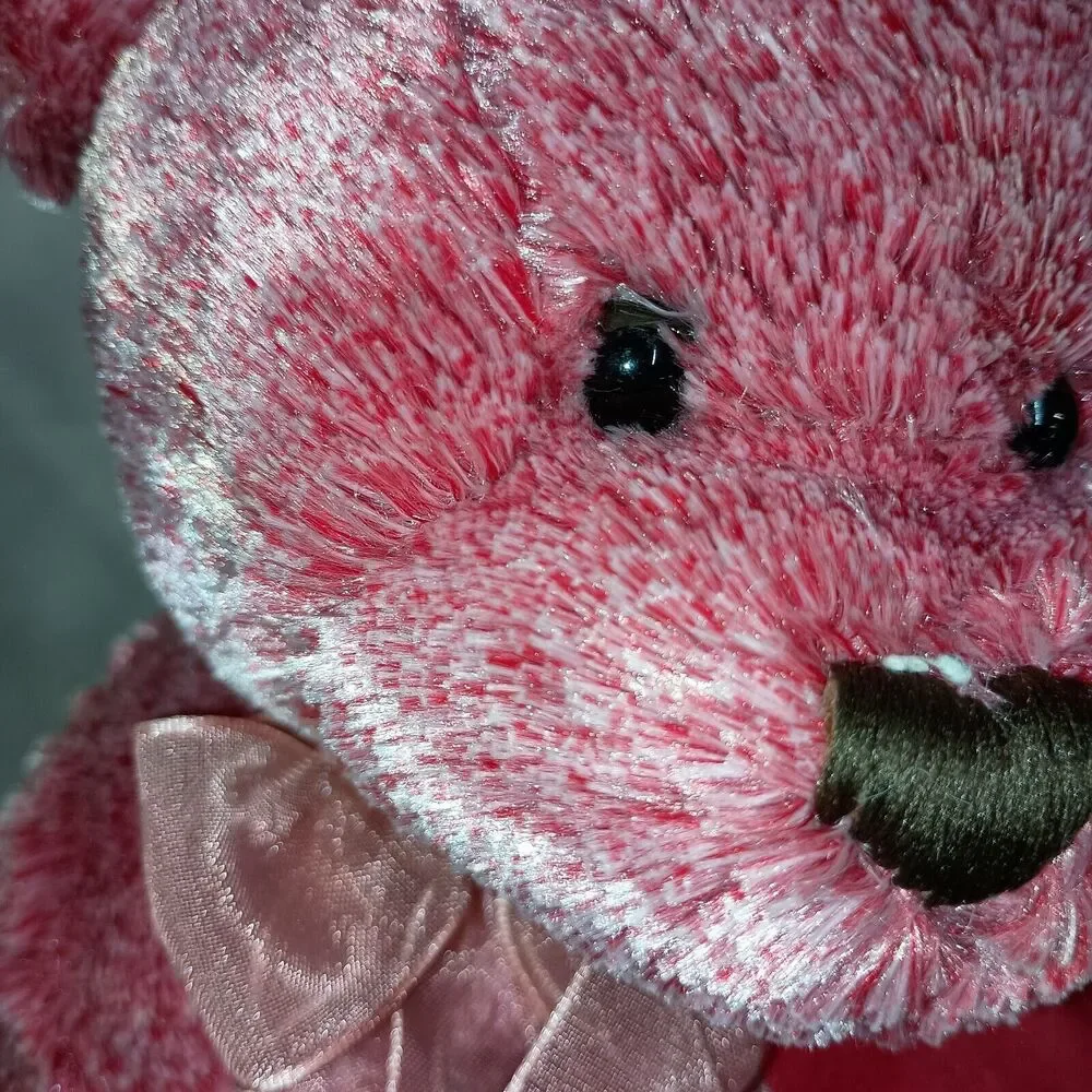 READ Dan Dee Valentines Day Gift Teddy Bear Holding Red Rose Plush 7” Present